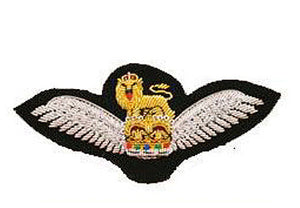Army Air Corps Wing Bullion Wire Blazer Badge